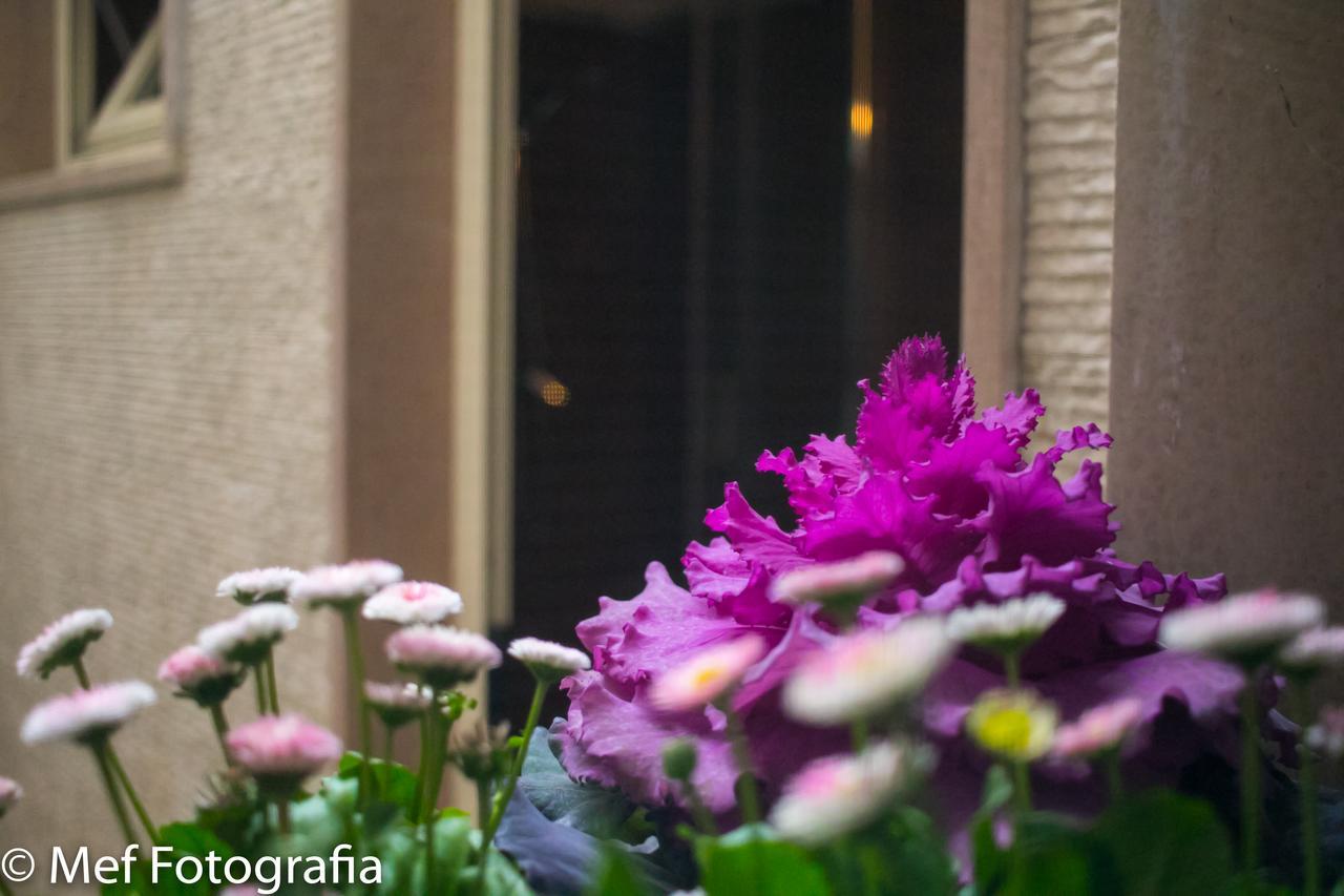 Appartement Miklù Luxury Lecce