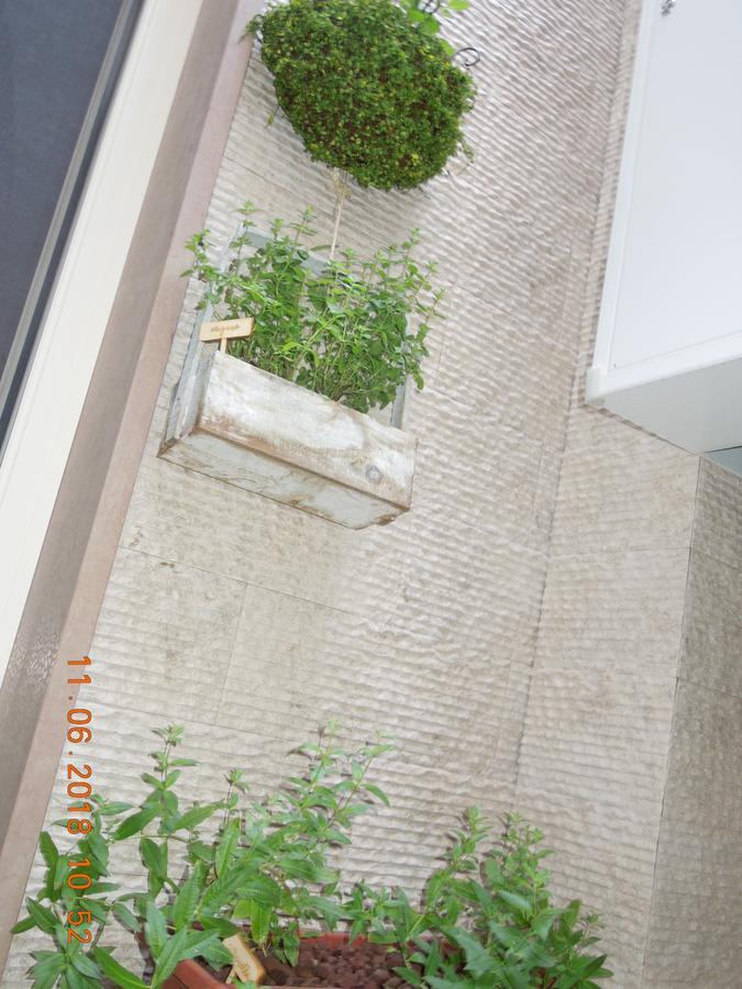Miklu Luxury Apartment